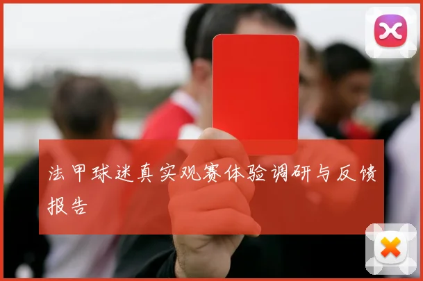 法甲球迷真实观赛体验调研与反馈报告