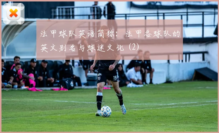 法甲球队英语筒称：法甲各球队的英文别名与球迷文化 (2)