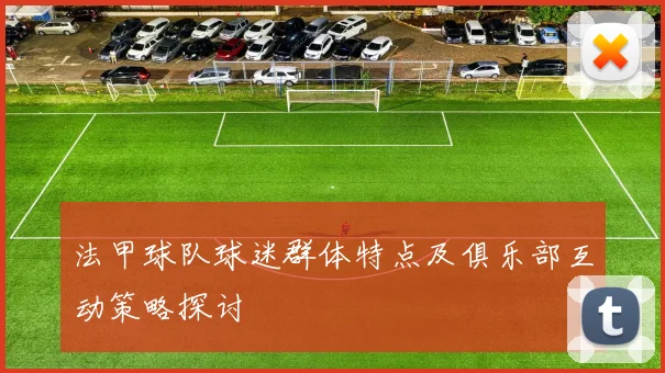 法甲球队球迷群体特点及俱乐部互动策略探讨